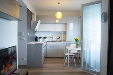 Gofar - Exclusively offers for rent luxuriously furnished 1 bedroom apartment in new building FUXOVA