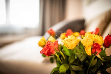Gofar - Exclusively offers for rent luxuriously furnished 1 bedroom apartment in new building FUXOVA