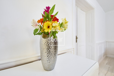 Sale | 3-room large-scale (130m2) family house on Hlavná street, Gabčíkovo | Gofar | Exclusive